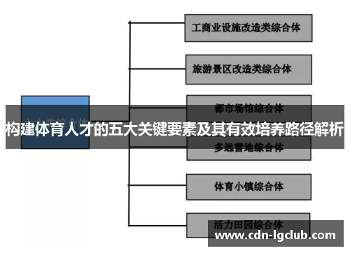 构建体育人才的五大关键要素及其有效培养路径解析