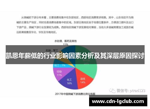 凯恩年薪低的行业影响因素分析及其深层原因探讨