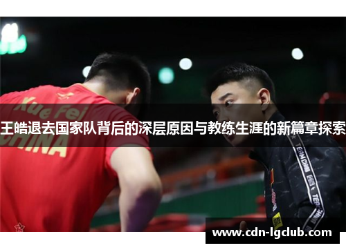 王皓退去国家队背后的深层原因与教练生涯的新篇章探索