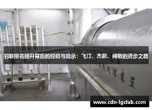 羽联排名提升背后的经验与启示：飞汀、杰蔚、阀敏的进步之路