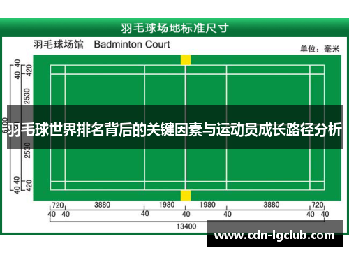 羽毛球世界排名背后的关键因素与运动员成长路径分析