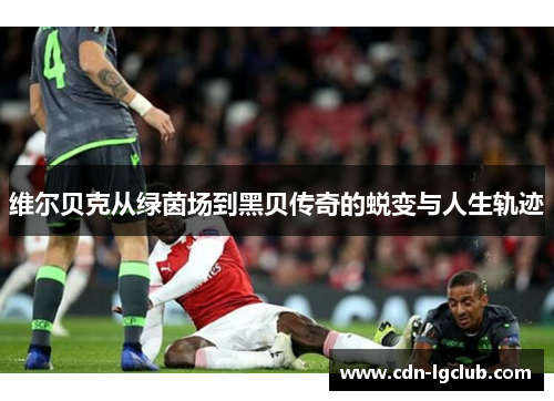 维尔贝克从绿茵场到黑贝传奇的蜕变与人生轨迹