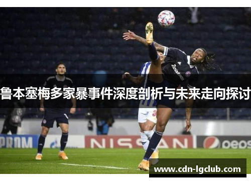 鲁本塞梅多家暴事件深度剖析与未来走向探讨