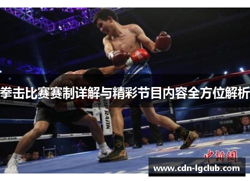 拳击比赛赛制详解与精彩节目内容全方位解析