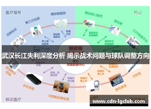 武汉长江失利深度分析 揭示战术问题与球队调整方向