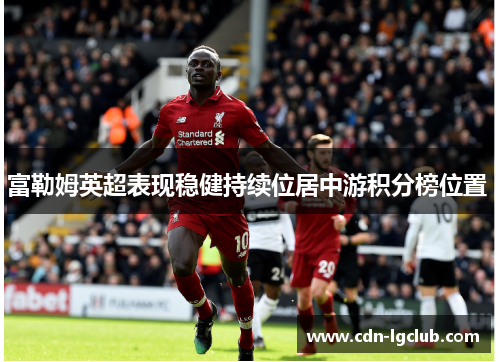 富勒姆英超表现稳健持续位居中游积分榜位置 富勒姆英超表现稳健持续位居中游积分榜位置