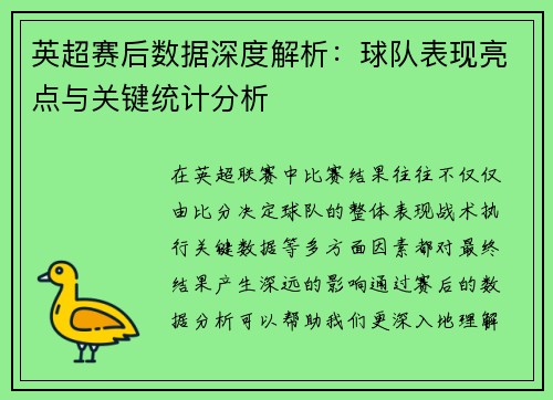 英超赛后数据深度解析：球队表现亮点与关键统计分析