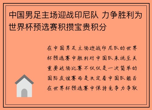 中国男足主场迎战印尼队 力争胜利为世界杯预选赛积攒宝贵积分