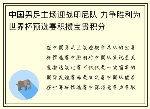 中国男足主场迎战印尼队 力争胜利为世界杯预选赛积攒宝贵积分 中国男足主场迎战印尼队 力争胜利为世界杯预选赛积攒宝贵积分
